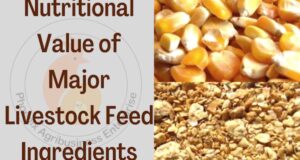 Livestock feed ingredients