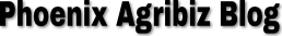 Phoniex site logo