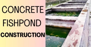 concrete fishpond construction