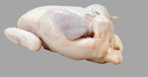 a white chicken is shown on a gray background
