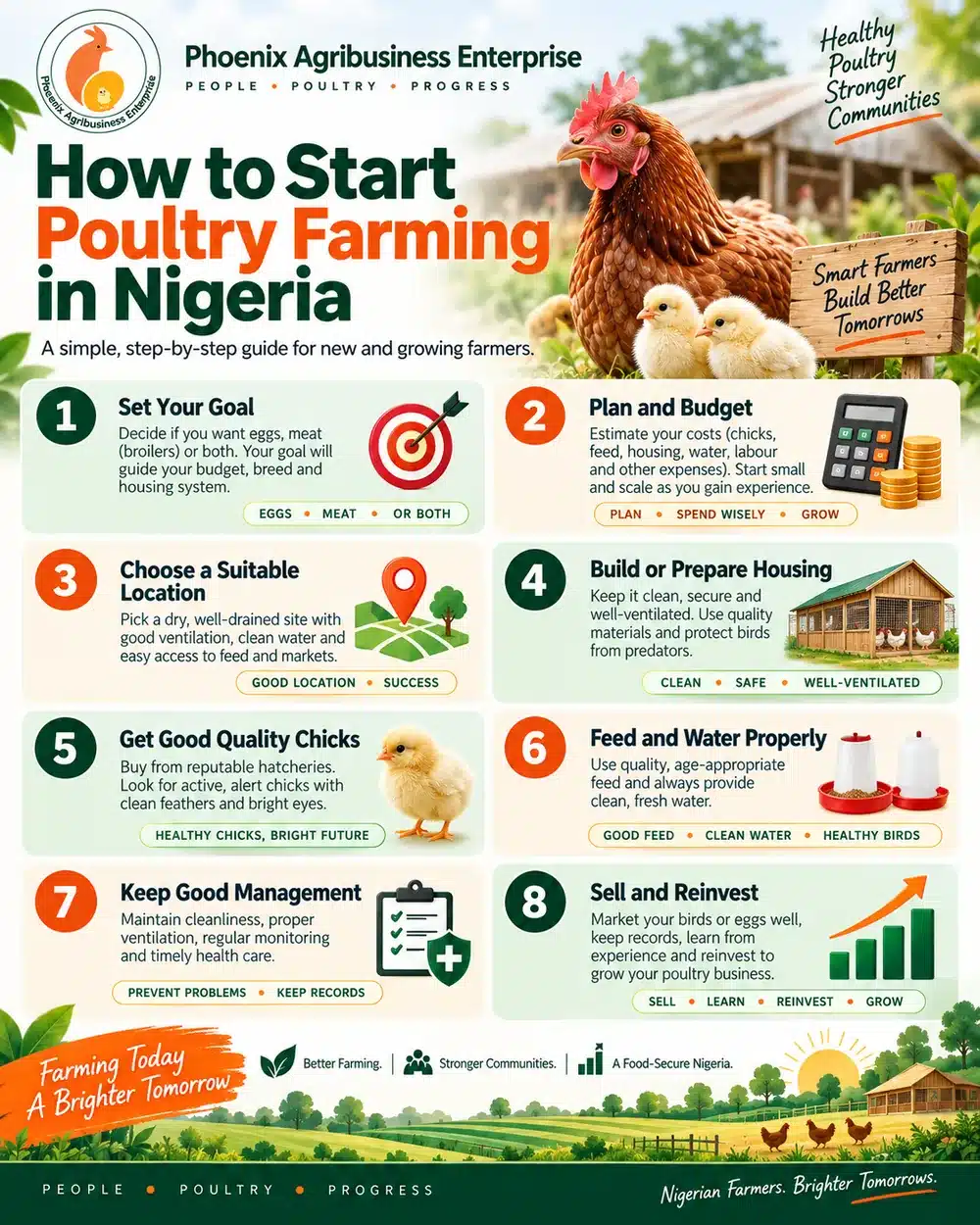 Infographic showing eight practical steps for starting poultry farming in Nigeria